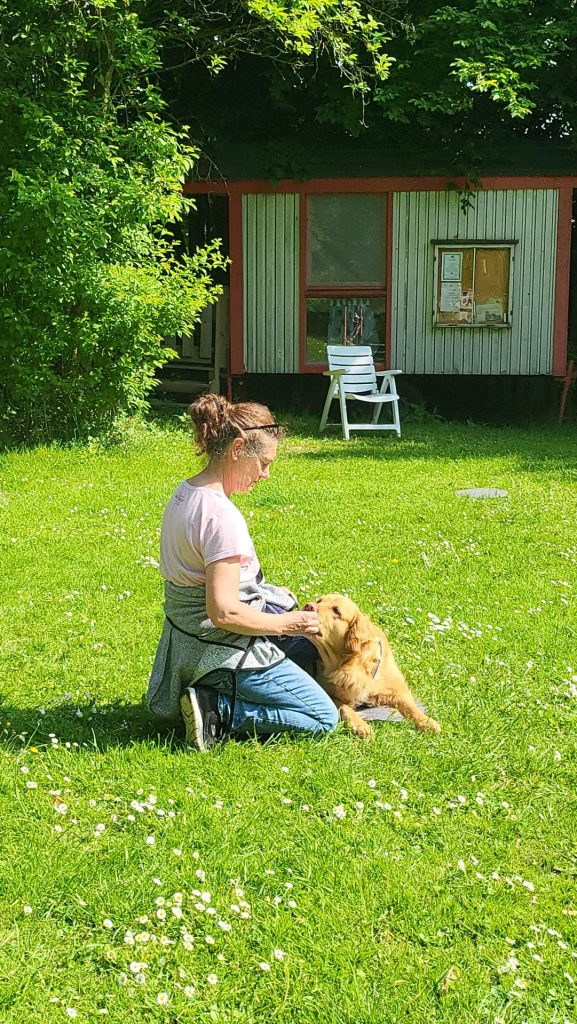 Hundeschule Liane Vettori