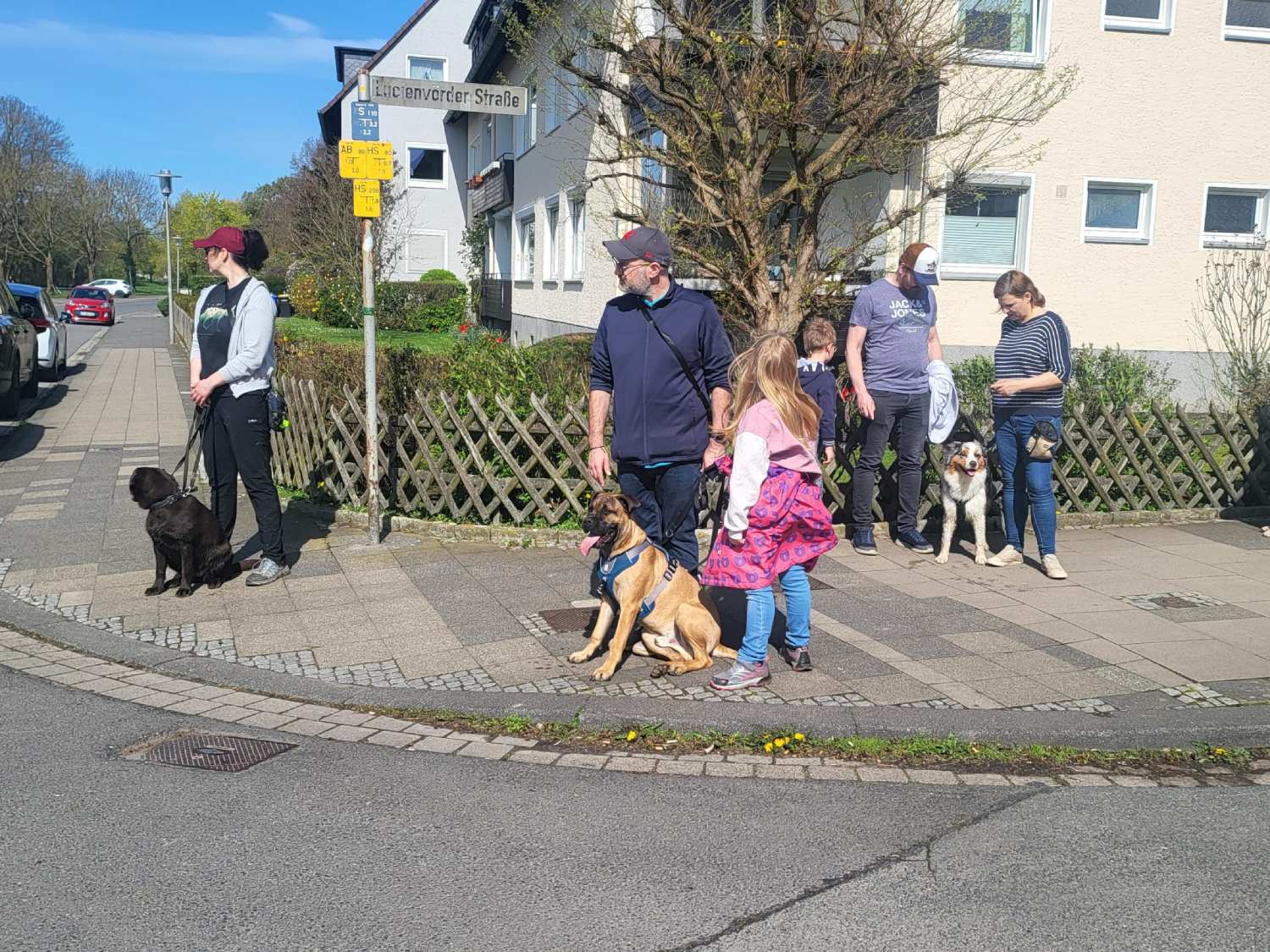 Hundeschule Liane Vettori