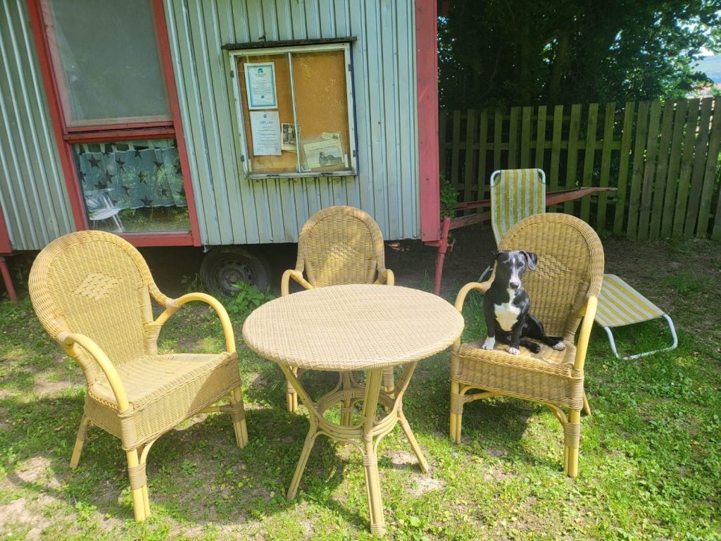 Hundeschule Liane Vettori