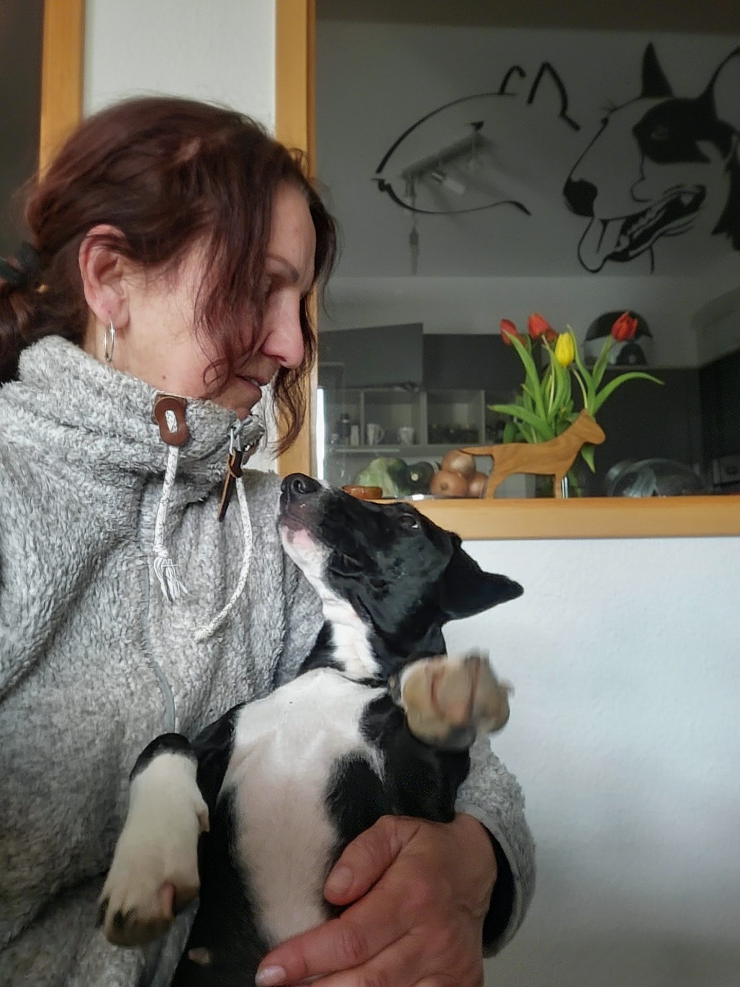 Eine Dame hat einen Hund auf der Hand