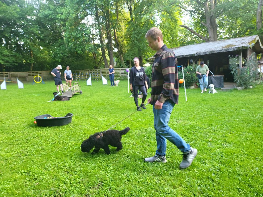 Hundeschule Liane Vettori