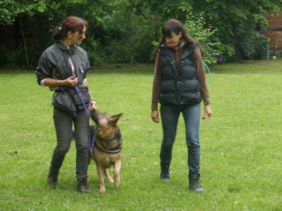 Hundeschule Liane Vettori